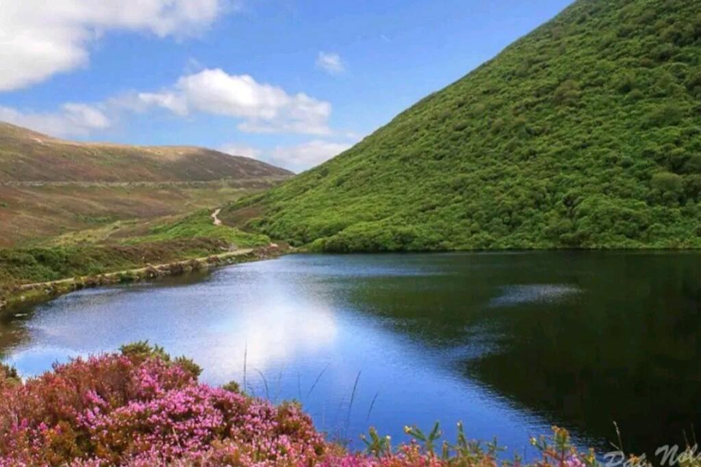 Kozy Kabin Waterford Bagian luar foto