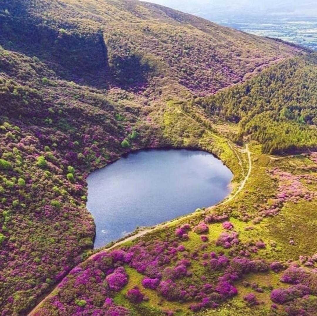 Kozy Kabin Waterford Bagian luar foto